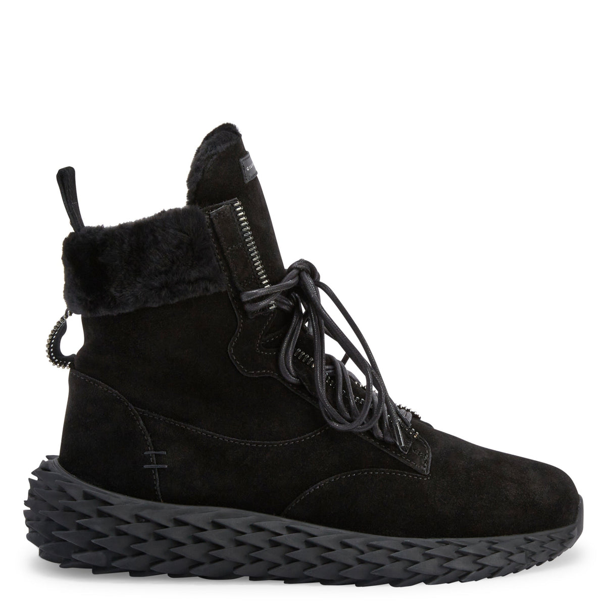 Giuseppe Zanotti Urchin