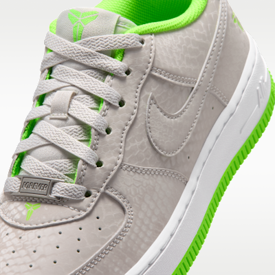 Nike Air Force 1 Low Big Kids' Shoes
