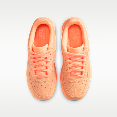 Nike Air Force 1 Suede Big Kids' Shoes