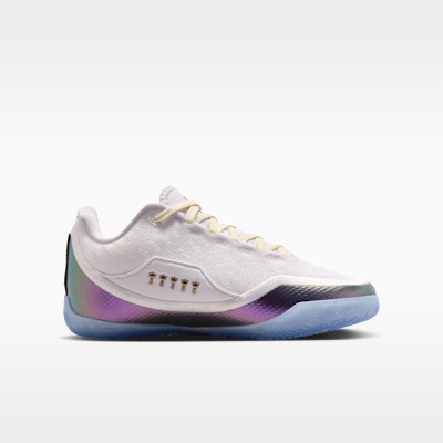 LeBron XXIII "For The Record" Big Kids' Basketball Shoes