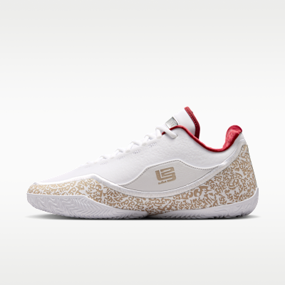 LeBron XXIII Basketball Shoes