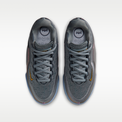 LeBron XXIII "Shut Up And Dribble" Big Kids' Basketball Shoes