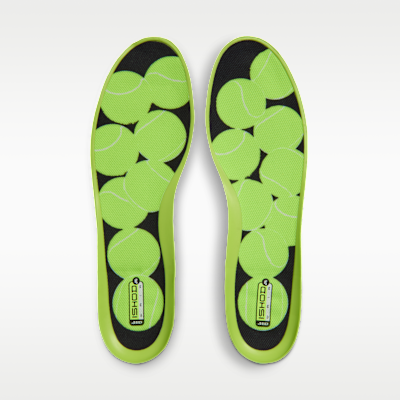 Nike Air Max Ishod Premium Skate Shoes