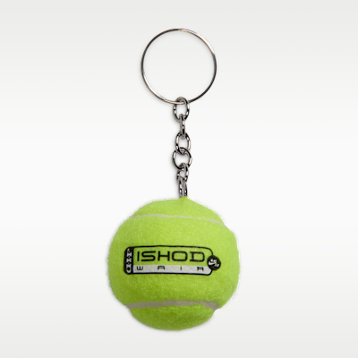 Nike Air Max Ishod Premium Skate Shoes