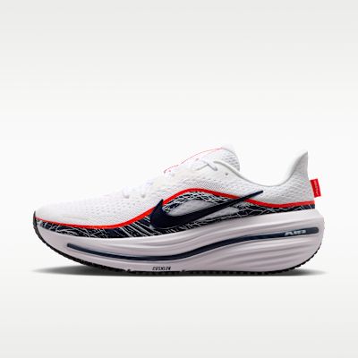 Nike Winflo 12 Men's Road Running Shoes