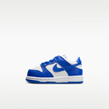 Nike Dunk Low Baby/Toddler Shoes