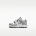 Nike Dunk Low Baby/Toddler Shoes
