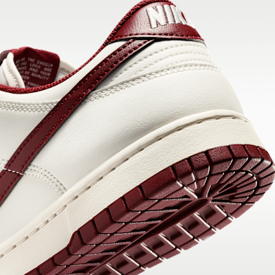 Nike Dunk Low Retro Men's Shoes