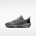 Nike Omni Multi-Court Big Kids' Indoor Court Shoes