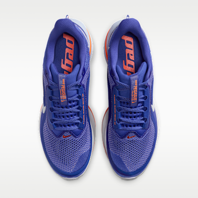 Nike Pegasus Premium Men's Road Running Shoes