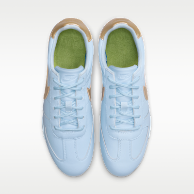 Nike Sprint Sister Women's Shoes