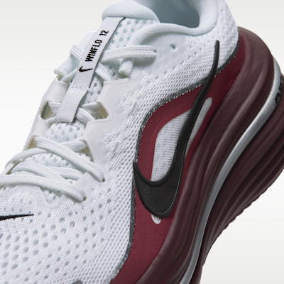 Nike Winflo 12 SE Women's Road Running Shoes