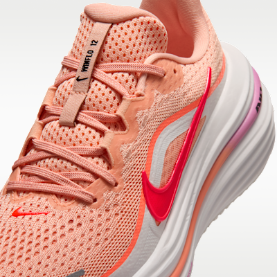 Nike Winflo 12 Women's Road Running Shoes