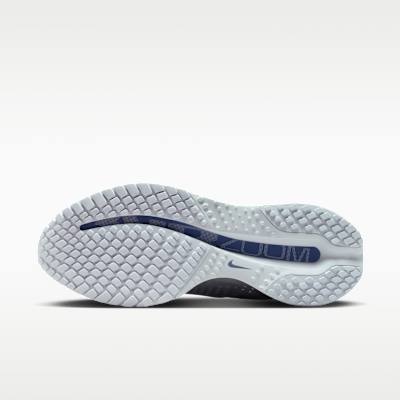 Nike Pegasus Premium Women's Road Running Shoes