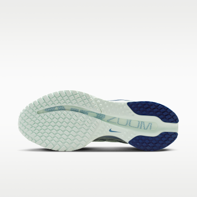 Nike Pegasus Premium Women's Road Running Shoes